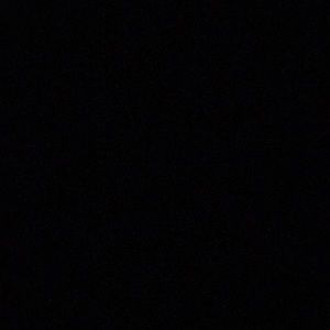 Meet your Posher, Bernardo